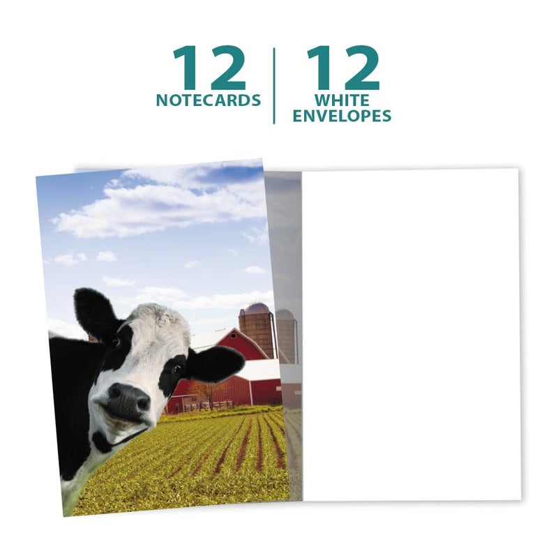 Tree-Free Greetings EcoNotes 12 Count Cow Photobomb All Occasion Notecard Set with Envelopes, 4 x 6 Inches (FS56364) - Image 5